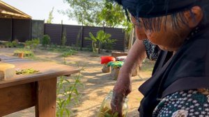 GRANDMA HARVESTING APPLES AND MAKING POWIDL! CAUCASIAN COUNTRY LIFE