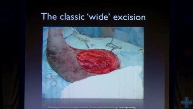 Опухоли тучных клеток у собак. Подход и хирургическое лечение. Mast Cell Tumours in Dog смотреть онлайн