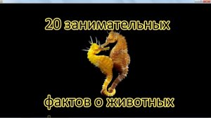 20 самых занимательных фактов о животных