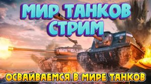 Мир Танков стрим - Я только учусь играть в World of Tanks