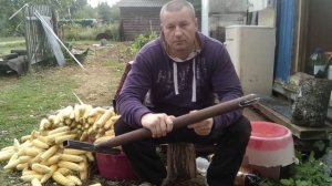 Бюджетная приманка для кабана.