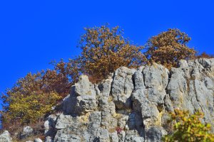 492  Их пули  дуры избегали(Святые  грешники)...  ст.  Владимир  Полуничев