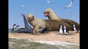 Гадрокир доисторический тюлень | История, описание, палеоэкология |