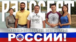 Новости поселения Радосвет. Выпуск 8: «Звенящие кедры России»