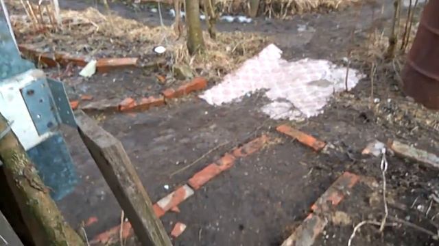 Содержание перепелов в домашних условиях. смотреть онлайн