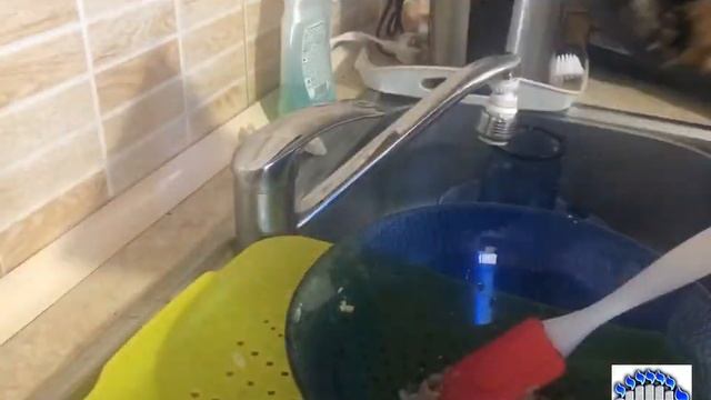 Харосет на Седер смотреть онлайн