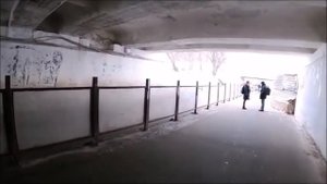 у метро "Царицыно"