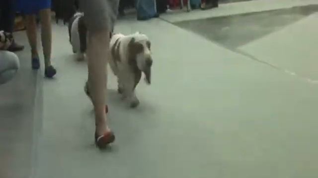 MOV005.MOD смотреть онлайн