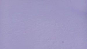 ЛЫЖНАЯ ПРОГУЛКА