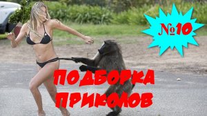 ЛУЧШИЕ ПРИКОЛЫ 2022 Апрель #10 Лучшая Подборка Приколов ТОПОВЫЕ ПРИКОЛЫ