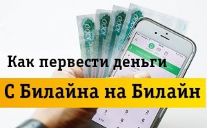 Как перевести деньги с билайна на билайн.