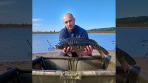 Карпово-Амурный сезон 2023!!!