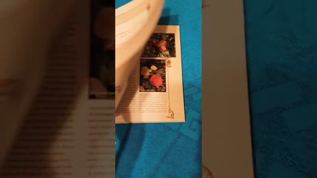 Старинный цветочный этикет смотреть онлайн