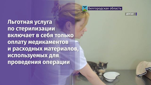 Жители могут бесплатно вакцинировать домашних животных от бешенства смотреть онлайн
