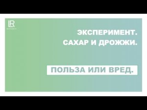 Эксперимент, сахар и дрожжи.