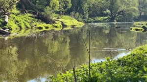 Майская рыбалка на пикер!