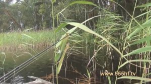 На лодке по незнакомому водоему 