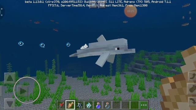 Я кормил дельфина и он привёл меня к интересным находкам смотреть онлайн