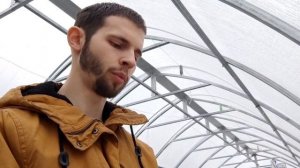 Давайте знакомиться! Начинаю сажать лаванду по стаканчикам