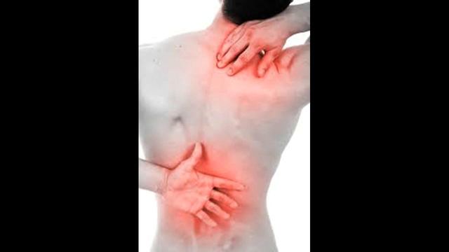 Как распознать и лечить болезнь Анаплазмоз