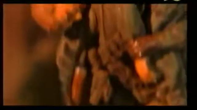 Клип 100 дней до приказа смотреть онлайн