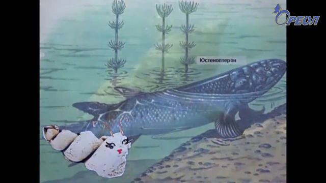 В Сланцевской библиотеке состоялось собрание, посвященное Общероссийскому Дню библиотек смотреть онлайн