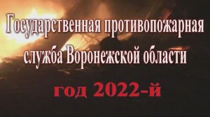 Государственная противопожарная служба Воронежской области, год 2022-й