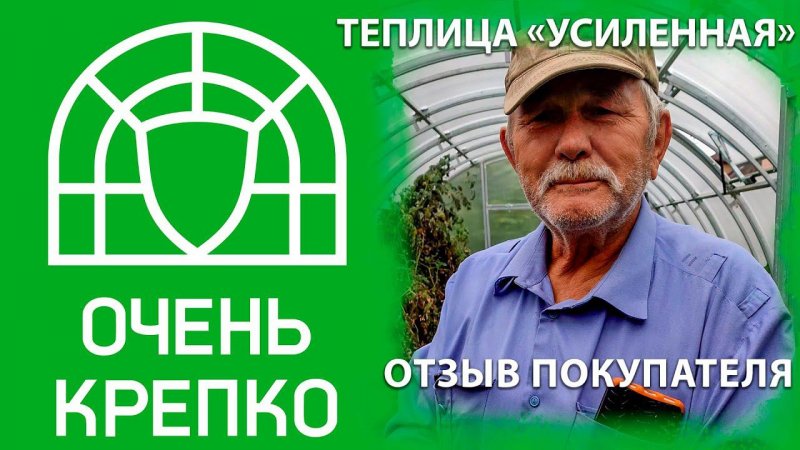 Отзыв о второй теплице «Усиленная»