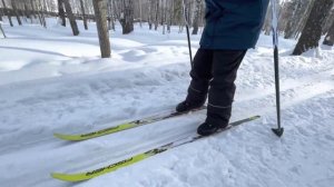 Олимпиада 2022 | Лыжи | Мужской спринт | Эстафета | Детские лыжи | Cross country | Skiing