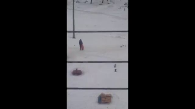 Как словить голубя :) (попытка бомжа) смотреть онлайн