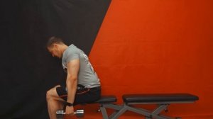 Трапеции с гантелями сидя в наклоне