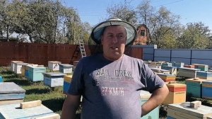 Пчёлы устойчивые к варроатозу