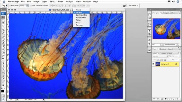 Total Training for Adobe Photoshop CS3: Essentials Ch8 L2. Using Rulers смотреть онлайн