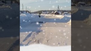 Белореченск,Кировская область