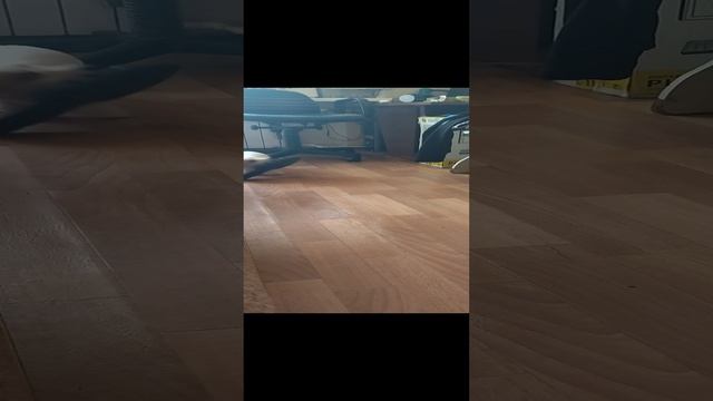 Бобик и тапок смотреть онлайн