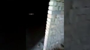 Polynor в действии