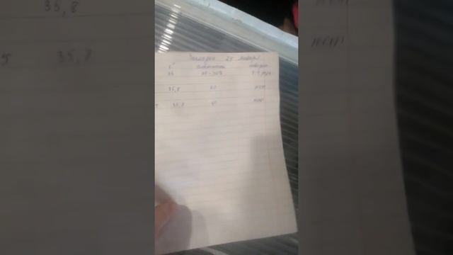 Инкубация Эму смотреть онлайн