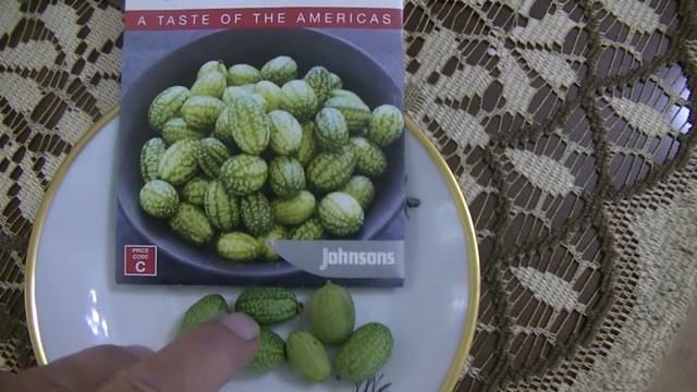 Cucamelon или дынный огурец смотреть онлайн