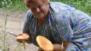 Amanita caesarea, Цезарев, Кесарев гриб (грибы кубани).wmv