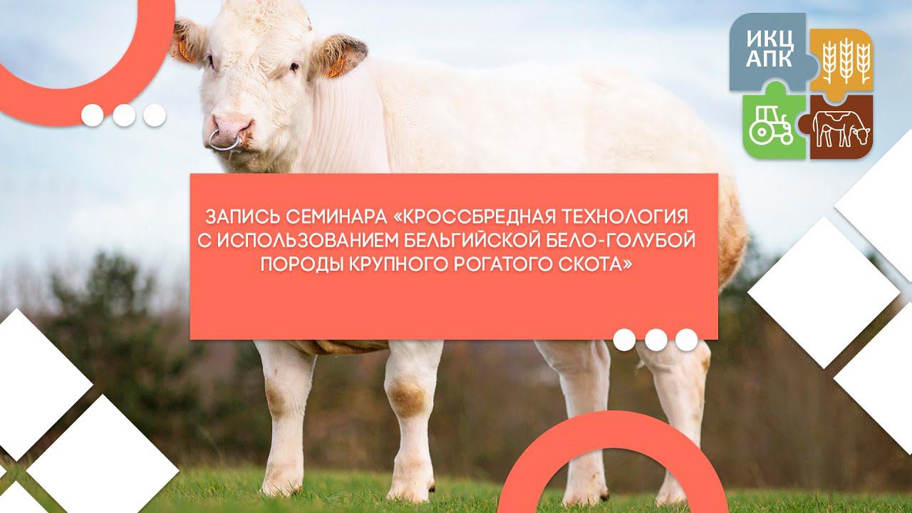 Семинар 02.04.2021 "Быстровозводимые стальные тентовые конструкции"