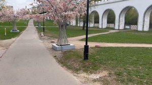 Московский акведук