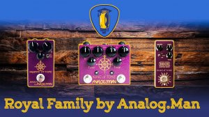 Обзор королевской семьи от Analog.Man | King of Tone | Prince of Tone | Duke of Tone