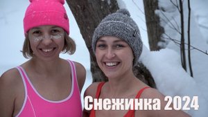 Снежинка 2024