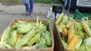 Ейск 2022. Ярмарка выходного дня - цены на овощи и фрукты. Наши покупки/ Life in Russia