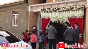 Туй дар Конибодом