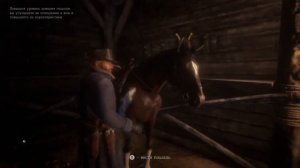 Red Dead Redemption 2 Часть 1 Волки держаться стаей.