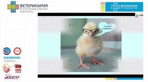 Новикова О. Б. Лекция по проблемам листериоза на птицефабриках.