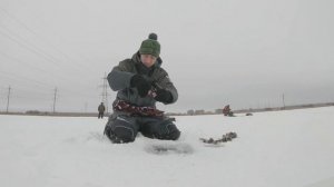 Как поймать ротана на блесну? Обзор новой удочки. Первый лёд 2019-2020