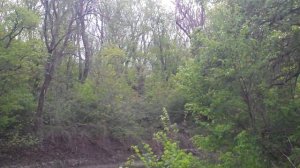 Ростовская область. Слияние рек Крынка и Миус в Алексеевском лесу.