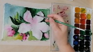 Показываю пошагово Как легко нарисовать цветок сакуры акварелью Рисуем с Любовью Draw with Love